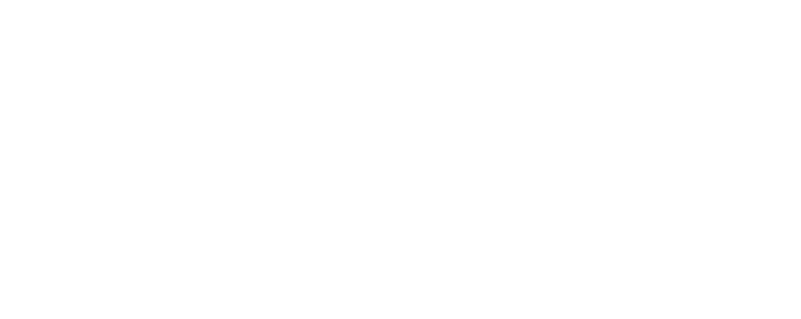 Logo divisione Web